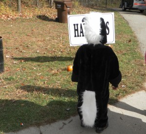 Skunk costume halloween
