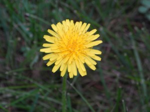 Don't hate me because I'm beautiful