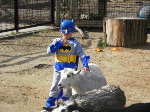 Batman gets his goat