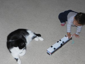Playing with cat and bus