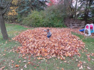 Leaf fort
