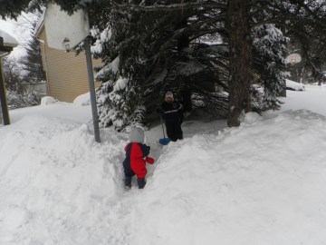 going to the snow fort