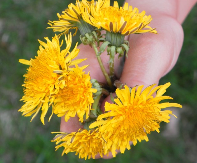 I picked these for you