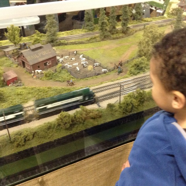 train watching
