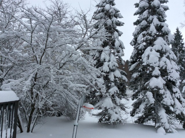 Well, it is kind of pretty.