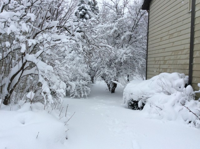 There's some shrubbery under there somewhere.