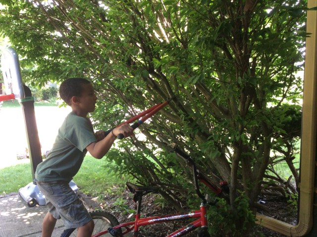 Mans never-ending struggle with nature.