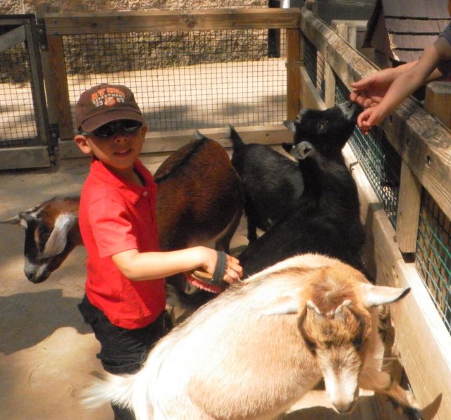 These flesh goats are so 2013.