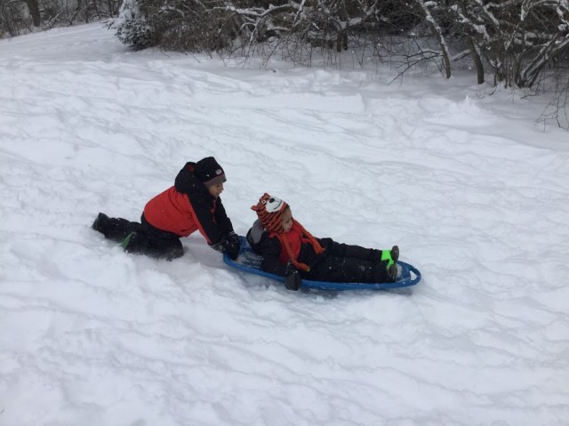 the power behind the sled